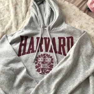 Grey Harvard cropped hoodie